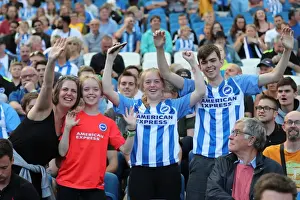 Sea of Supporters: Brighton and Hove Albion vs Atletico de Madrid at the American Express Community Stadium (06AUG17)