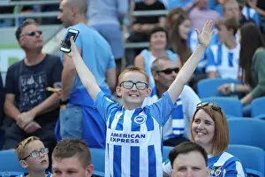 Sea of Supporters: Brighton and Hove Albion vs Atletico de Madrid at the American Express Community Stadium (06AUG17)