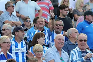 Sea of Supporters: Brighton and Hove Albion vs Atletico de Madrid at the American Express Community Stadium (06AUG17)
