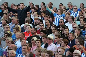 Pre-Season Prints: Sea of Supporters: Brighton and Hove Albion vs Atletico de Madrid at the American Express Community Stadium (06AUG17)