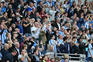 Middlesbrough 18OCT14 Prints: Seafront Sea of Seagulls: Brighton & Hove Albion Fans in Full Force against Middlesbrough (18OCT14)