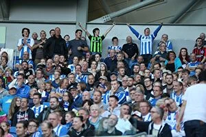 Images Dated 18th October 2014: Seafront Showdown: Brighton & Hove Albion Fans in Full Force vs. Middlesbrough (18OCT14)