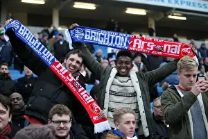 Seagulls FA Cup Clash: Brighton Fans Amidst a Sea of Supporters (25Jan15) vs. Arsenal