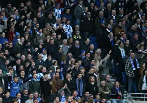 Arsenal 25JAN15 Prints: Seagulls Soar: Brighton & Hove Albion FA Cup Clash vs. Arsenal (25Jan15)