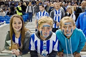 Images Dated 27th December 2000: Seaside Passion: Crowd Fever at Brighton & Hove Albion's Amex Stadium (2012-2013)