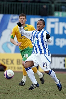 Norwich City Gallery: Seb Carole