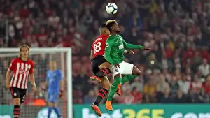 September Showdown: Premier League Clash between Southampton and Brighton & Hove Albion (17SEP18)
