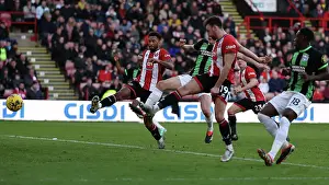 Scores An Own Goal Prints: Sheffield United v Brighton and Hove Albion Premier League 18FEB24