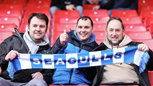 Sheffield United v Brighton and Hove Albion Premier League 18FEB24