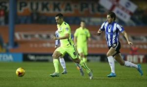 Sheffield Wednesday v Brighton and Hove Albion Sky Bet Championship 03/11/2015 Sheffield Wednesday v Brighton and Hove Albion Sky Bet Championship 03/11/2015