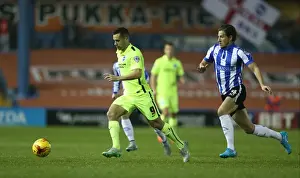 Sheffield Wednesday 03NOV15 Prints: Sheffield Wednesday v Brighton and Hove Albion Sky Bet Championship 03 / 11 / 2015