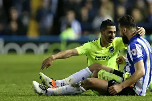 Sheffield Wednesday v Brighton and Hove Albion Sky Bet Championship Play Off First