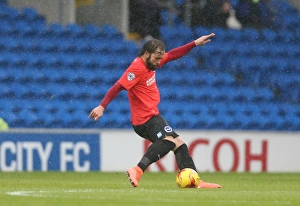 Sky Bet Championship Clash: Cardiff City vs. Brighton and Hove Albion (20FEB16)