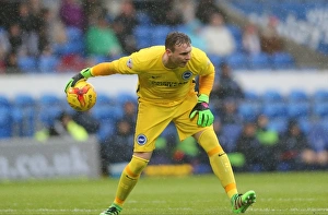 Sky Bet Championship Clash: Cardiff City vs. Brighton and Hove Albion (20FEB16)