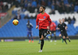 Sky Bet Championship Clash: Cardiff City vs. Brighton and Hove Albion (20FEB16)