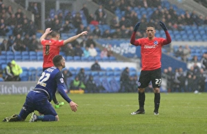 Sky Bet Championship Clash: Cardiff City vs. Brighton and Hove Albion (20FEB16)