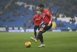 Sky Bet Championship Clash: Cardiff City vs. Brighton and Hove Albion (20FEB16)