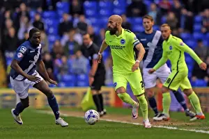 Birmingham City 05APR16 Prints: Sky Bet Championship Showdown: Brighton and Hove Albion vs. Birmingham City (05/04/2016)
