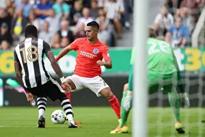 Sky Bet Championship Showdown: Newcastle United vs. Brighton and Hove Albion at St. James Park (27-08-2016)