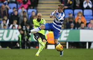 Images Dated 31st October 2015: Sky Bet Championship Showdown: Reading vs. Brighton and Hove Albion at Madejski Stadium