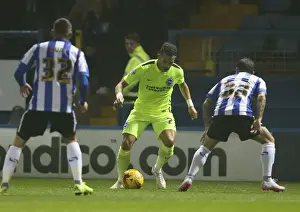 Sky Bet Championship Showdown: Sheffield Wednesday vs. Brighton and Hove Albion at Hillsborough Stadium (03NOV15)