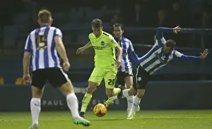 Sky Bet Championship Showdown: Sheffield Wednesday vs. Brighton & Hove Albion at Hillsborough Stadium (03NOV15)