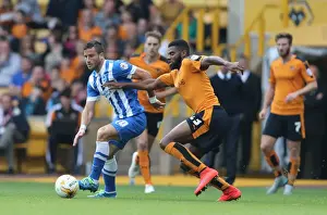 Sky Bet Championship Showdown: Wolverhampton Wanderers vs. Brighton and Hove Albion at Molineux Stadium (17/09/2015)