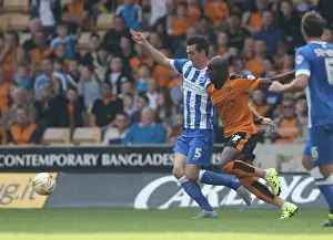 Sky Bet Championship Showdown: Wolverhampton Wanderers vs. Brighton and Hove Albion at Molineux Stadium (August 2015)
