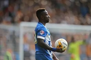 Sky Bet Championship Showdown: Wolverhampton Wanderers vs. Brighton and Hove Albion at Molineux Stadium (August 2015)