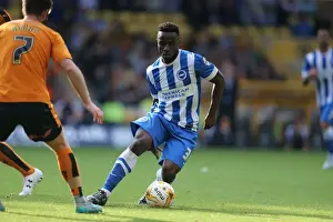 Sky Bet Championship Showdown: Wolverhampton Wanderers vs. Brighton and Hove Albion at Molineux Stadium (17/09/2015)