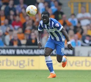 Sky Bet Championship Showdown: Wolverhampton Wanderers vs. Brighton and Hove Albion at Molineux Stadium (September 17, 2015)