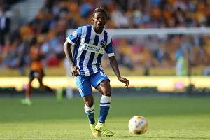 Sky Bet Championship Showdown: Wolverhampton Wanderers vs. Brighton and Hove Albion at Molineux Stadium (17/09/2015)