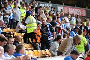 Sky Bet Championship Showdown: Wolverhampton Wanderers vs. Brighton and Hove Albion at Molineux Stadium (September 17, 2015)