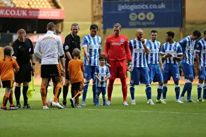 Sky Bet Championship Showdown: Wolverhampton Wanderers vs. Brighton and Hove Albion at Molineux Stadium (17/09/2015)