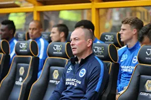 Sky Bet Championship Showdown: Wolverhampton Wanderers vs. Brighton and Hove Albion at Molineux Stadium (17/09/2015)