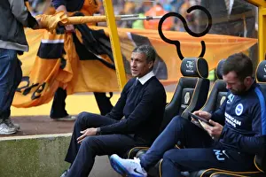 Sky Bet Championship Showdown: Wolverhampton Wanderers vs. Brighton and Hove Albion at Molineux Stadium (17/09/2015)