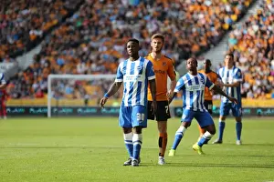Winger Prints: Sky Bet Championship Showdown: Wolverhampton Wanderers vs