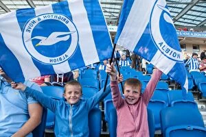 Soccer, Sky Bet Championship, Brighton and Hove Albion, Football League, Championship