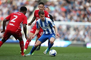 Bristol City 29APR17 Prints: Solly March in Action: Brighton & Hove Albion vs. Bristol City (29APR17)