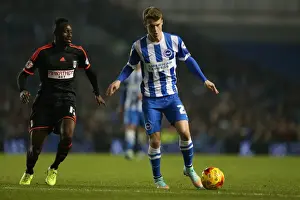 Fulham 29NOV14 Prints: Solomon March in Action: Brighton & Hove Albion vs Fulham