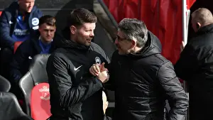 Southampton and Brighton and Hove Albion Premier League 22FEB25