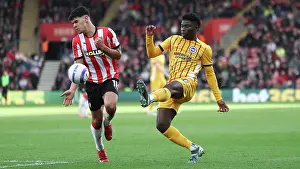Southampton and Brighton and Hove Albion Premier League 22FEB25
