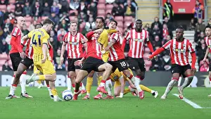 Southampton and Brighton and Hove Albion Premier League 22FEB25