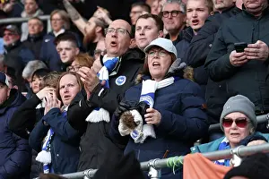 Southampton and Brighton and Hove Albion Premier League 22FEB25