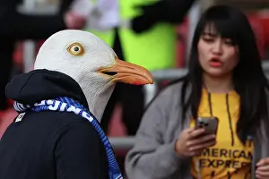 Southampton and Brighton and Hove Albion Premier League 22FEB25