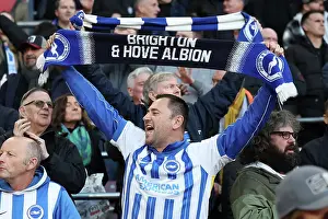 Southampton and Brighton and Hove Albion Premier League 22FEB25