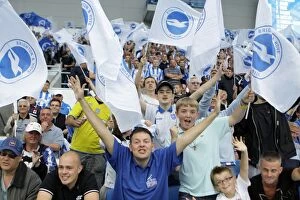 Images Dated 6th August 2011: Spurs and Doncaster galleries