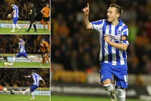 Wolves - 10-11-2012 Gallery: Stephen Dobbie