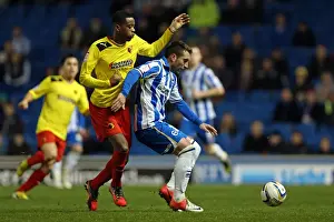Stephen Dobbie Fends Off Challenge: Brighton & Hove Albion vs. Watford, December 29, 2012