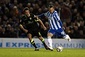 Leeds United - 02-11-2012 Prints: Stephen Dobbie's Shot: Brighton & Hove Albion vs Leeds United